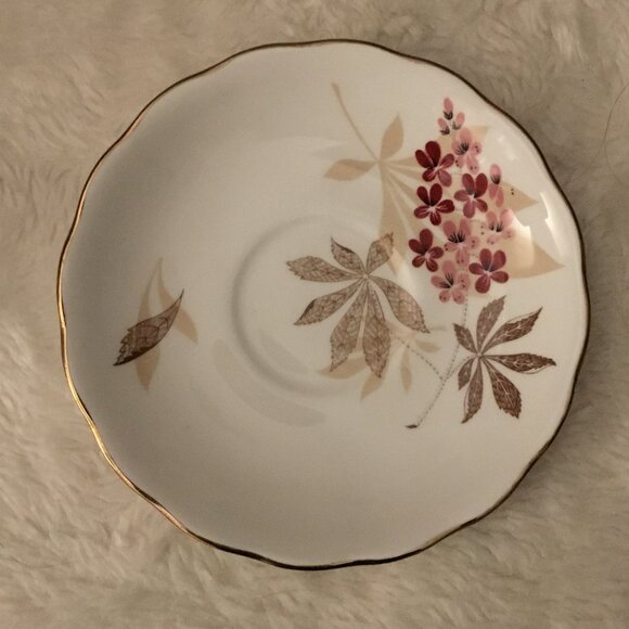 Royal Vale England White Porcelain Pink Blossoms Brown Maple Teacup & Sa… - Picture 3 of 16